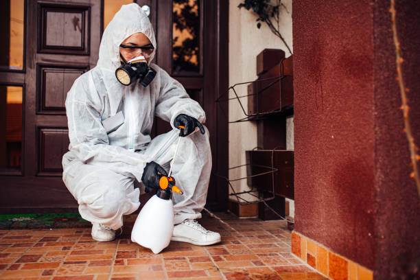 Reliable Ant Control contractor in South San Gabriel, CA by Nex Pest Control