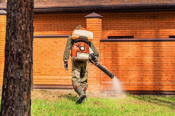 Trusted Fumigation Services service in South San Gabriel, CA - Nex Pest Control